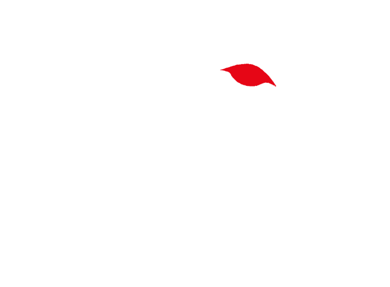 Gepard Medical Services Logo